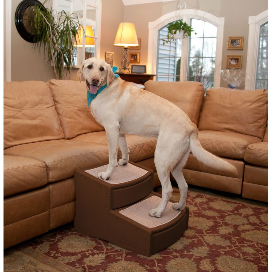 Pet Gear Easy Step II Extra Wide Pet Stairs, 2-step/for cats and dogs up to 200-pounds