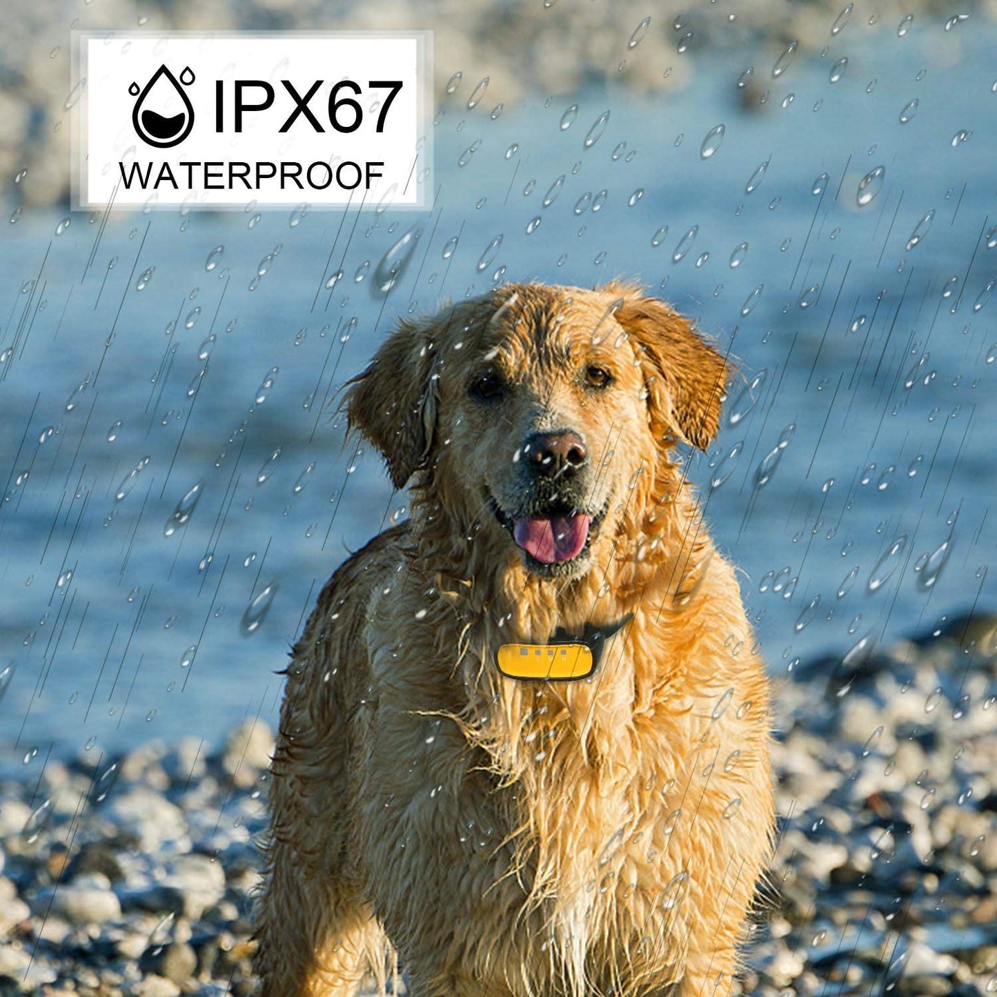 Spray Dog Training Collar,2 Modes Citronella Dog Bark Collar (Not Included Citronella Spray),500 ft Rechargeable No Electric Shock Harmless