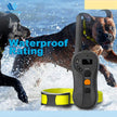 Collier d'entraînement pour chiens 600m télécommande étanche électronique Electronic Dog Training Shock Collier Rechargeable Fonction de l'aveugle