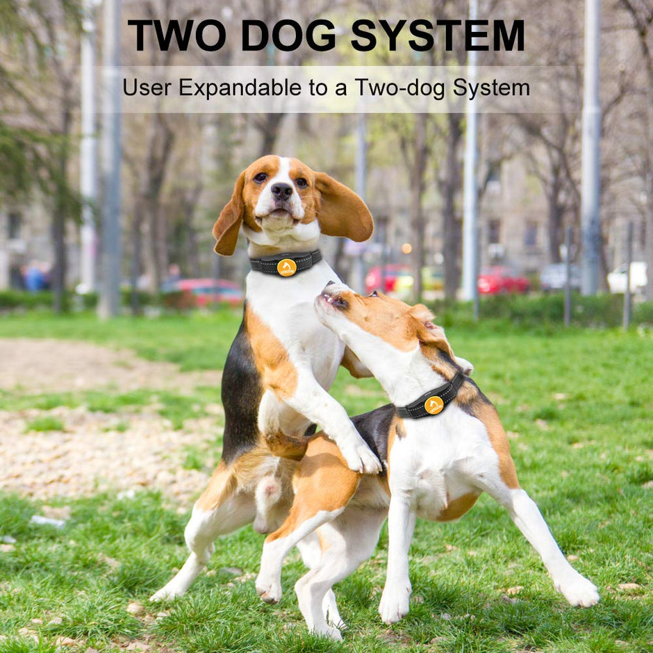 Patpet Shock collar for Dogs, 2019 Upgraded 1500ft Dog Training Collar with Remote, IPX7 Waterproof&Rechargeable, Beep Vibration Shock Mode for Small Medium Large Dog, Ergonomic Blind Operation Design