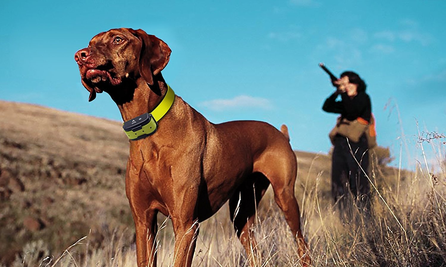 Dog Training Collar Blind Operation Shock Collar for Training 2 Dogs - Rechargeable and Waterproof 660yd Remote E-Collar with Separate Command Buttons,Fit for 15-100 lb