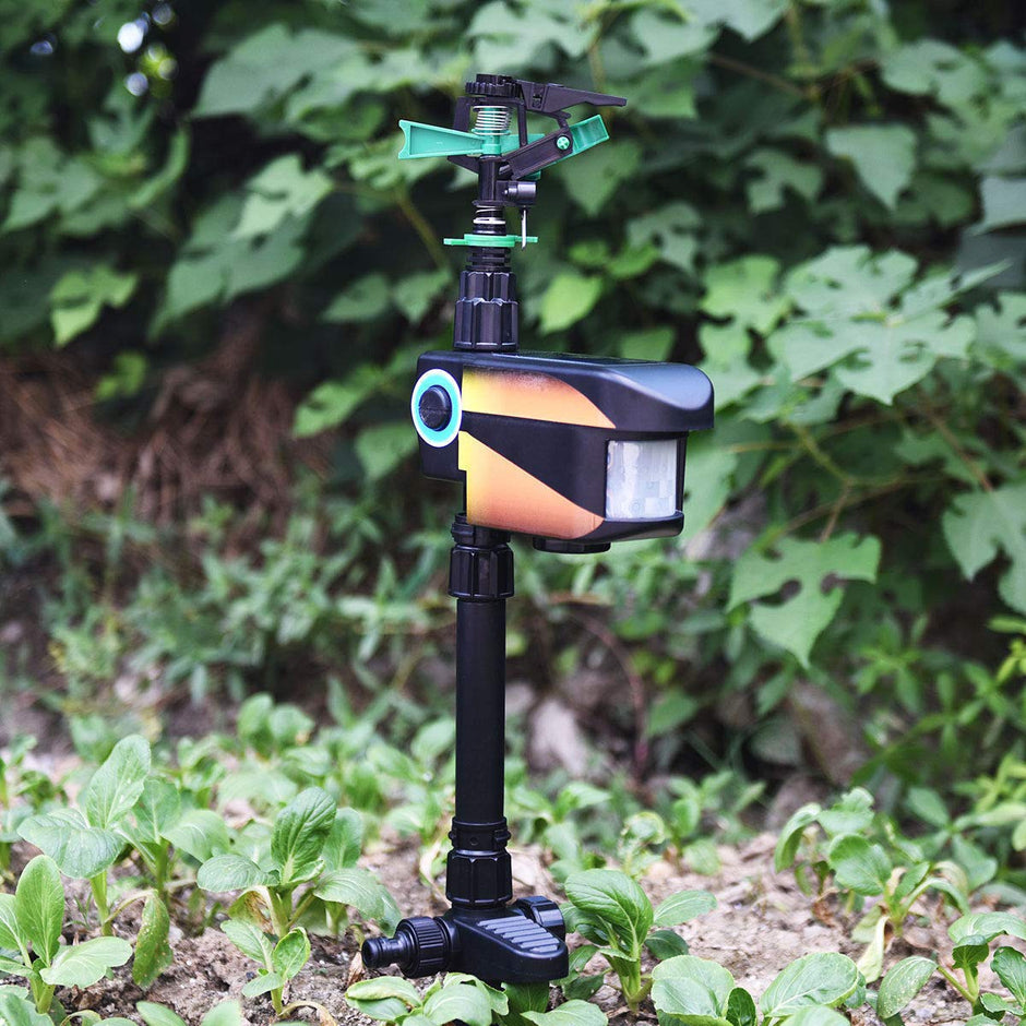 Scarecrow Motion activé Animal Repellent