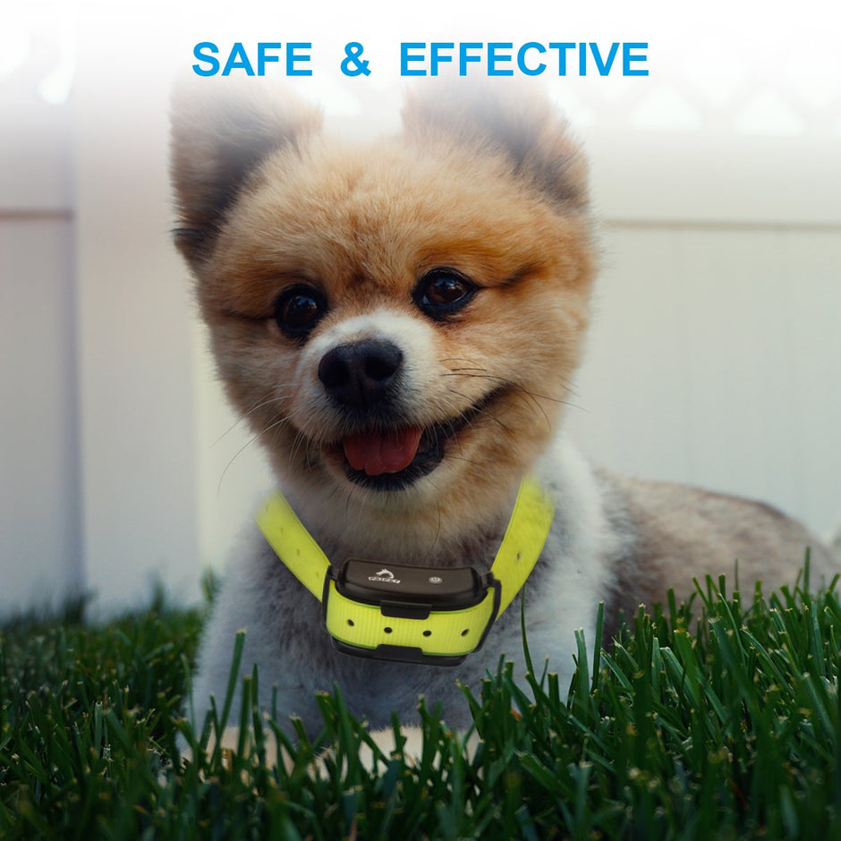 Patpet P-Collar 610 Collier de formation pour chiens Innovative Blind Operation Collier de choc pour la formation Dog - RECHARGÉable Imperméable 660yd Remote Control Range 3 Mode de formation 16 Intensité A réglable