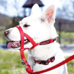The Company of Animals - Halti Headclar - réglable et rembourré - pas d'outil d'entraînement à traction pour les chiens sur les promenades - Comprend le guide de formation gratuit - Taille 1 - Rouge