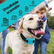 Système de clôture pour chiens sans fil Oceven avec GPS, système de confinement en plein air pour animaux