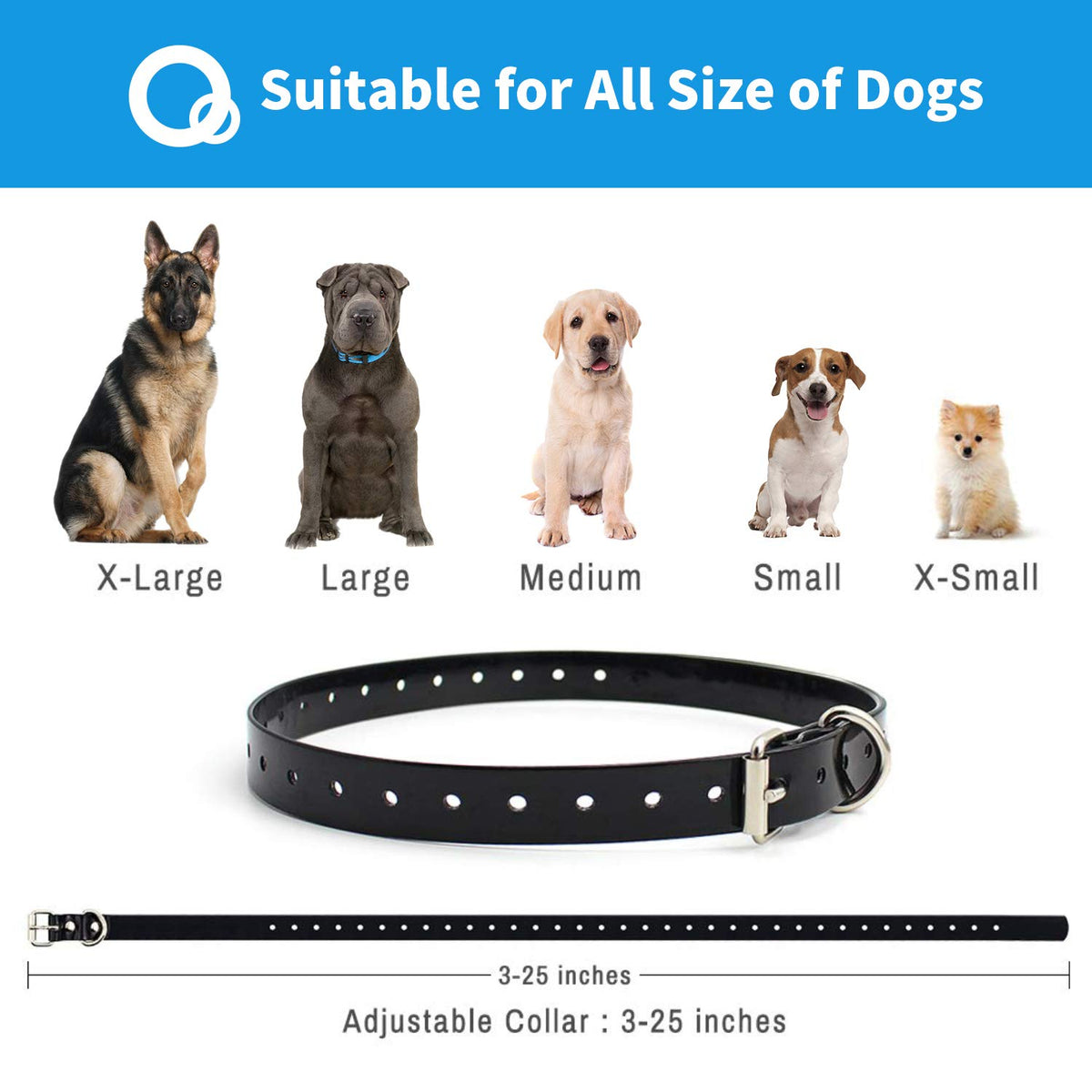 Dog Training Collar