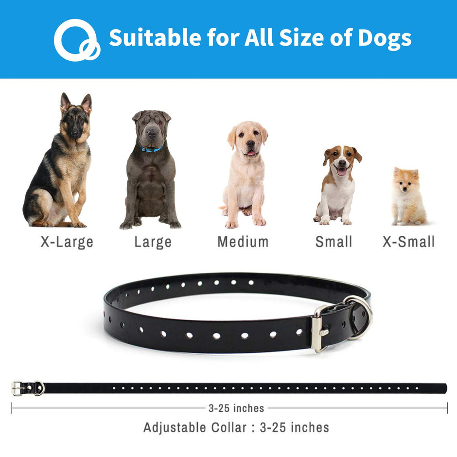 Dog Training Collar
