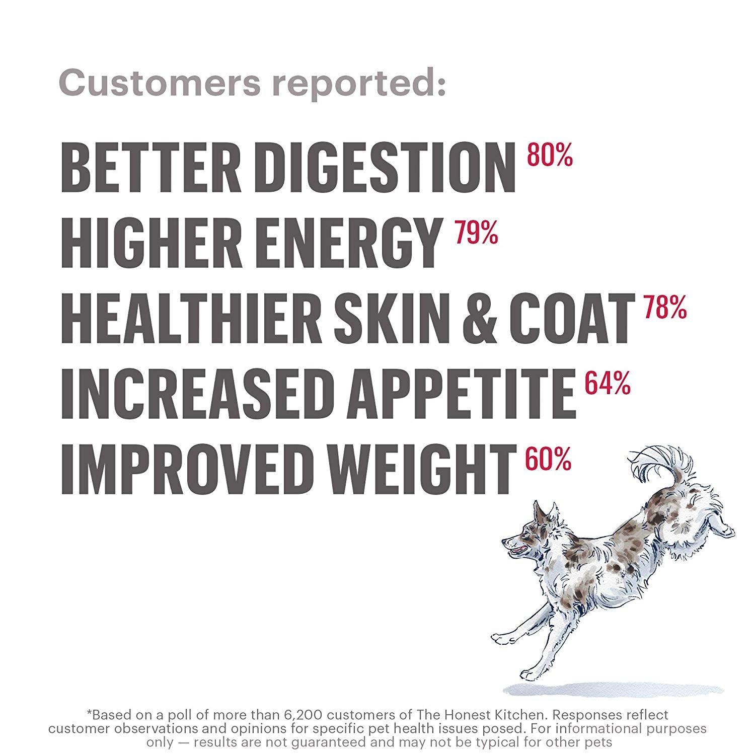 The Honest Kitchen Human Grade Dehydrated Grain Free Base Mix Dog Food