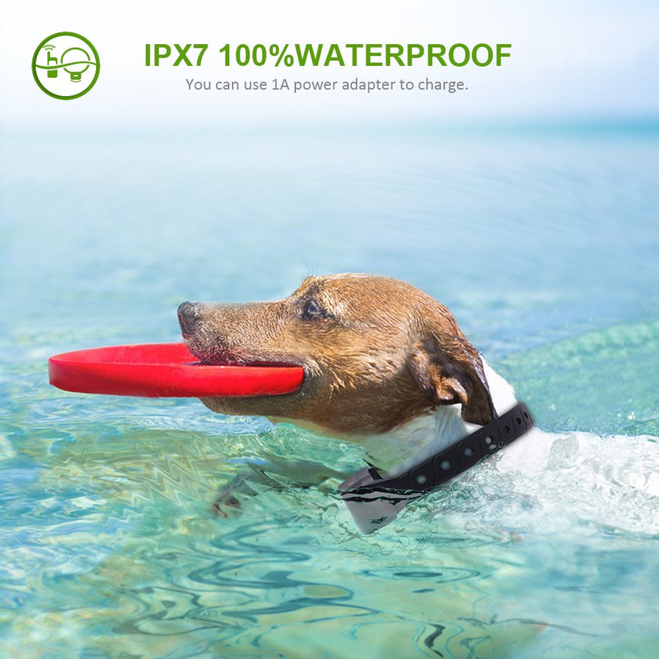 Wolfwill Humane No Shock Remote Dog Training Collar 100% imperméable Rechargeable 1980 pieds Boulots avec vibration de ton