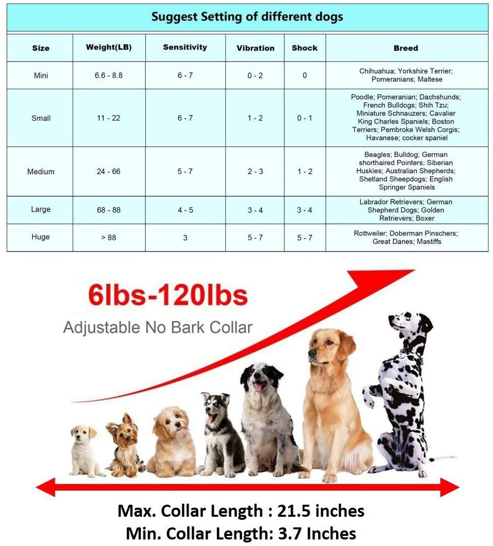 Dog Anti Bark Collar [2020 Upgrade Version] No Barking Collar Dog Small Bark Collar Shock Collar with Beep Vibration Harmless Shock Rechargeable Anti Bark Control Device for Small Medium Large Dog