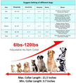 Dog Anti Bark Collar [2020 Upgrade Version] No Barking Collar Dog Small Bark Collar Shock Collar with Beep Vibration Harmless Shock Rechargeable Anti Bark Control Device for Small Medium Large Dog