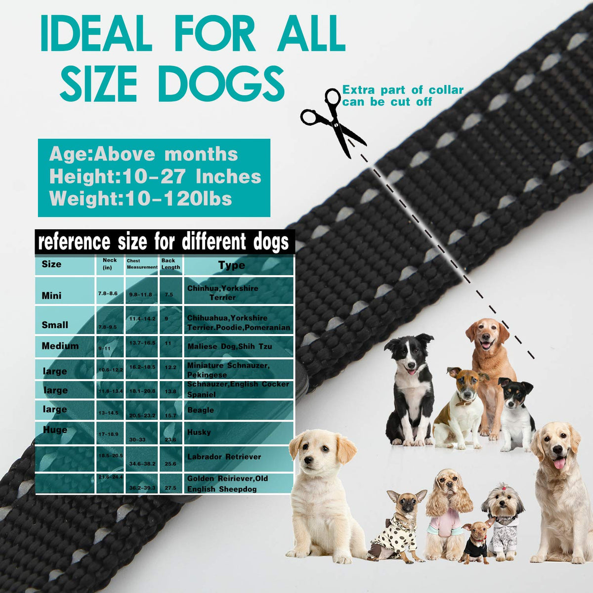 Collier d'entraînement pour chiens YTT, collier de choc pour chiens à 1000 pieds, pas de blessure et choc à 100% imperméable BEEP / vibra / choc électrique.
