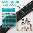 Collier d'entraînement pour chiens YTT, collier de choc pour chiens à 1000 pieds, pas de blessure et choc à 100% imperméable BEEP / vibra / choc électrique.