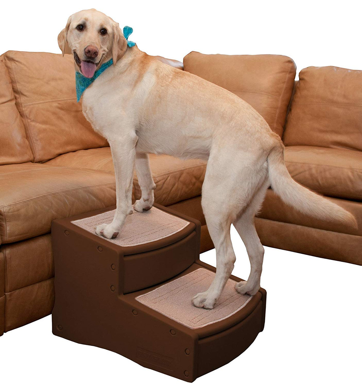 Pet Gear Easy Step II Extra Wide Pet Stairs, 2-step/for cats and dogs up to 200-pounds