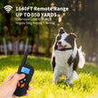 Dog Training Collar