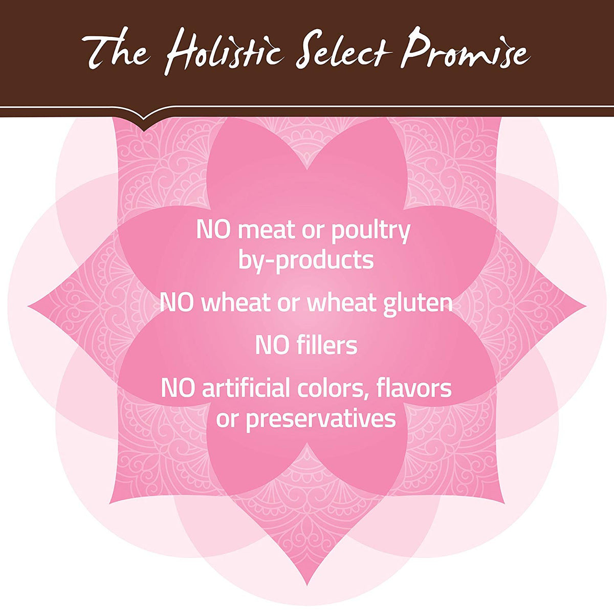 Holistic Select Natural Grain Free Dry Cat Food, Indoor