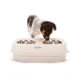 Notre magasin d'animaux de compagnie-n - Feed Adjudable Soured Dog Bowl Feeder
