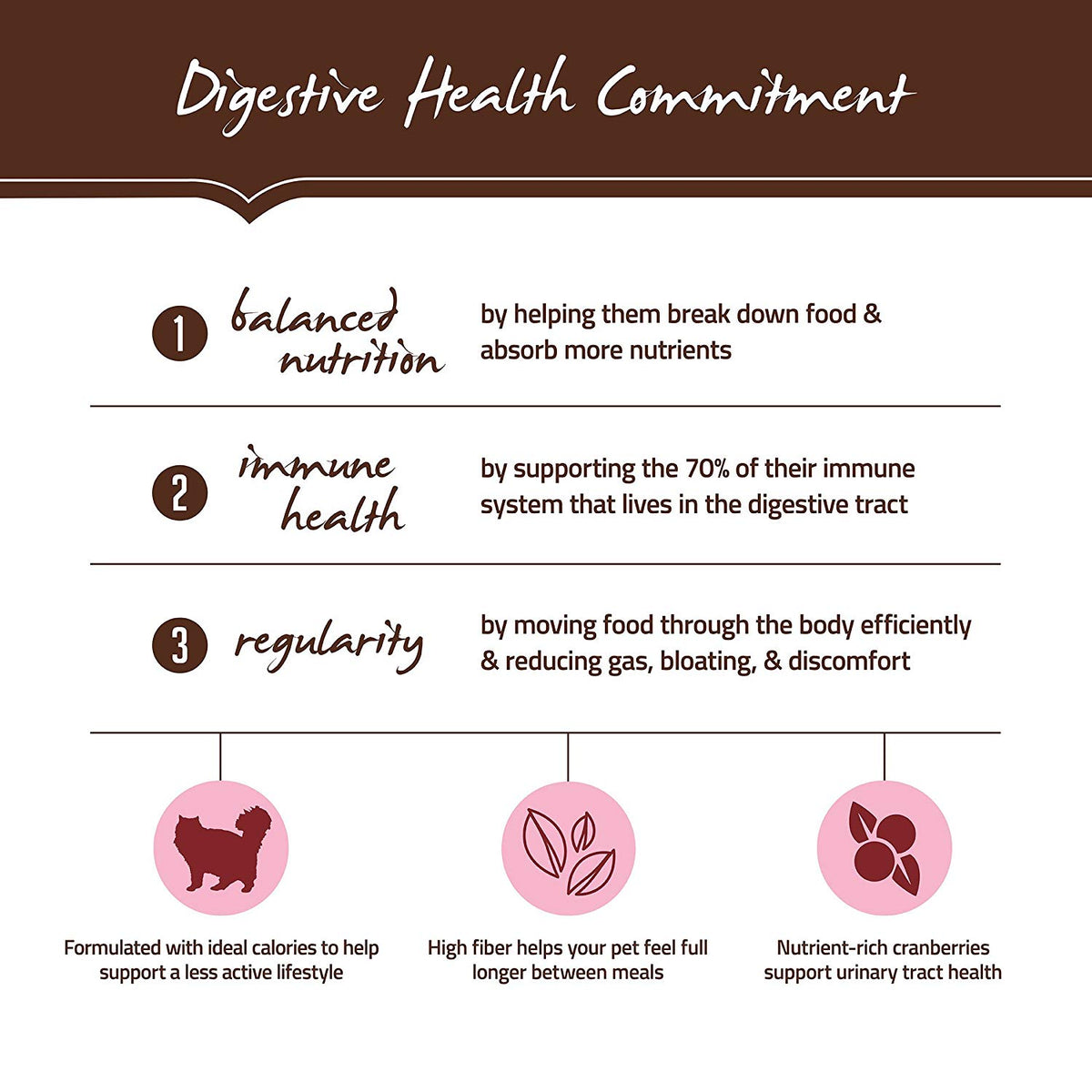 Holistic Select Natural Grain Free Dry Cat Food, Indoor