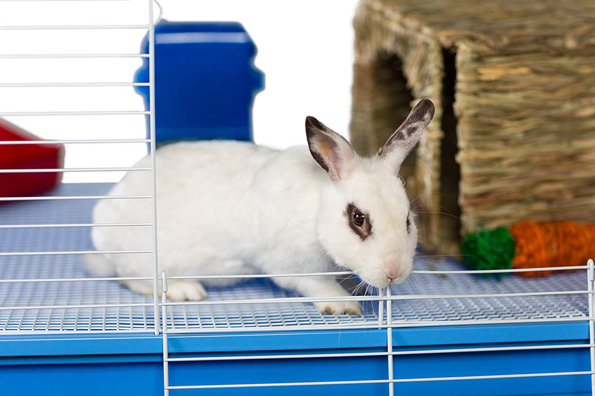 Pite Pet Jumbo Small Pet Cage sur le stand