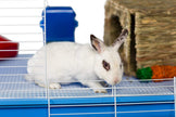 Pite Pet Jumbo Small Pet Cage sur le stand