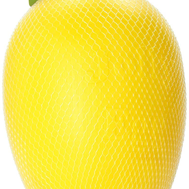 Jolly Pets Egg Plastic Ball for Pets