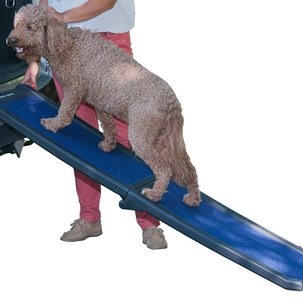 Pet Gear PG9166Gry Rampion de compagnie bifondée tout temps, pleine longueur, tout temps, gris