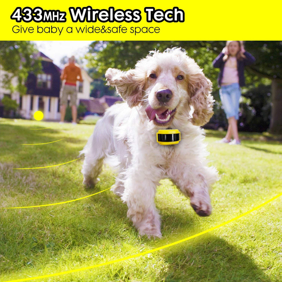 Cloture Electrique sans fil pour chien Système sans fil de confinement pour chien collier de dressage