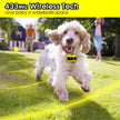 Cloture Electrique sans fil pour chien Système sans fil de confinement pour chien collier de dressage