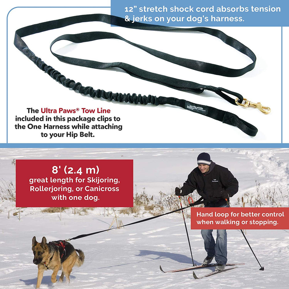 Ultra Paws Basic Skijor Package