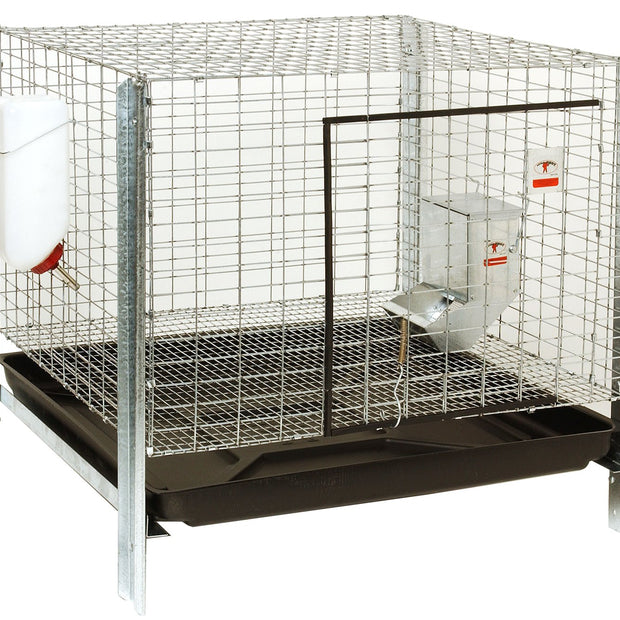 Little Giant Farm & Ag Complete Rabbit Hutch Kit