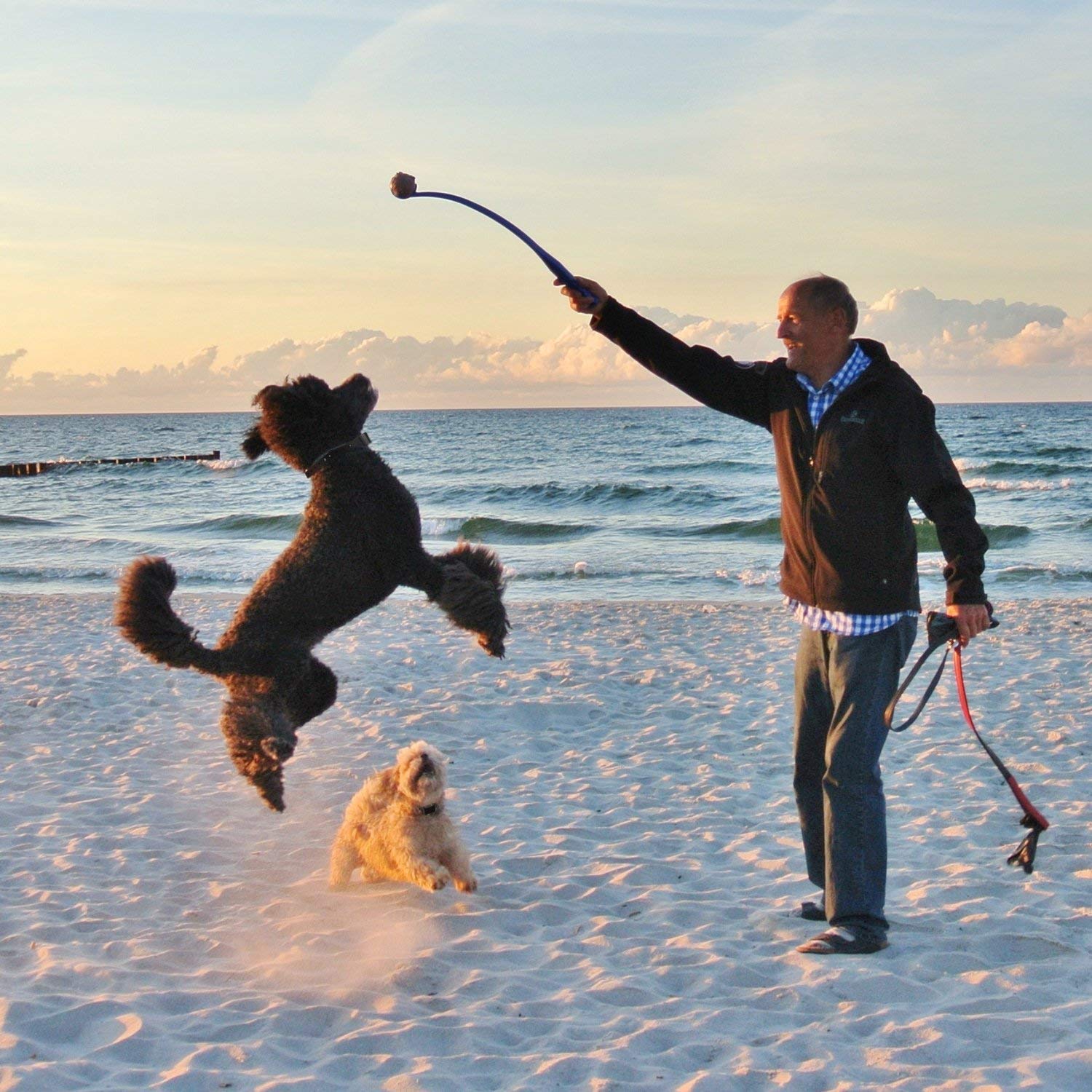 Dog Training Collar 620, Electronic Rechargeable 100% Waterproof 650yd Dog Training Collar with Remote, Tone, Vibration, Shock Mode for Large to Small Dogs (8.8Lbs - 88Lbs)