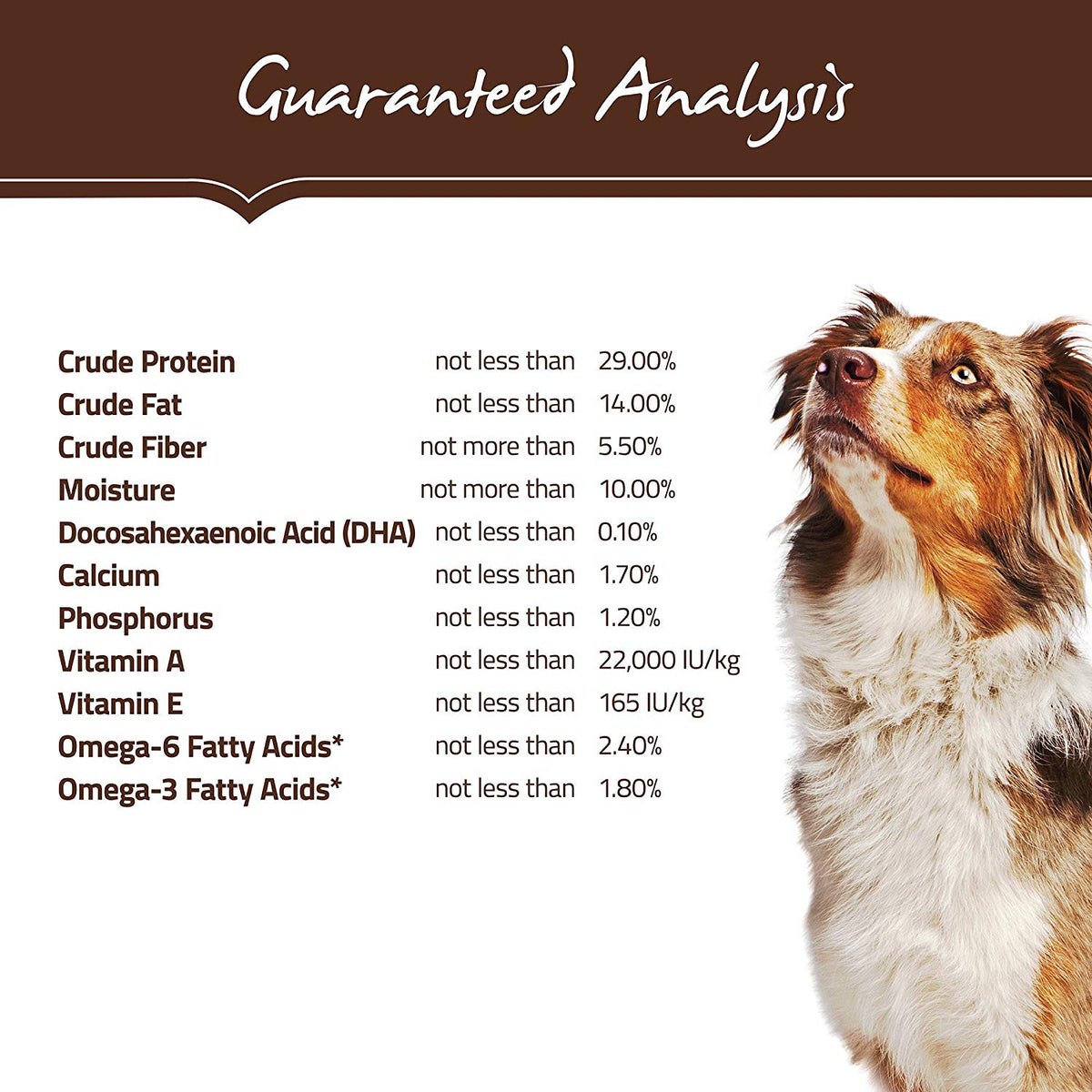 Holistic Select Natural Dry Dog Food Grain Free Adult & Puppy Salmon. Anchovy & Sardine