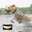Collier d'entraînement pour chiens high-farou