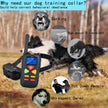 Innotek Basic Remote Trainer