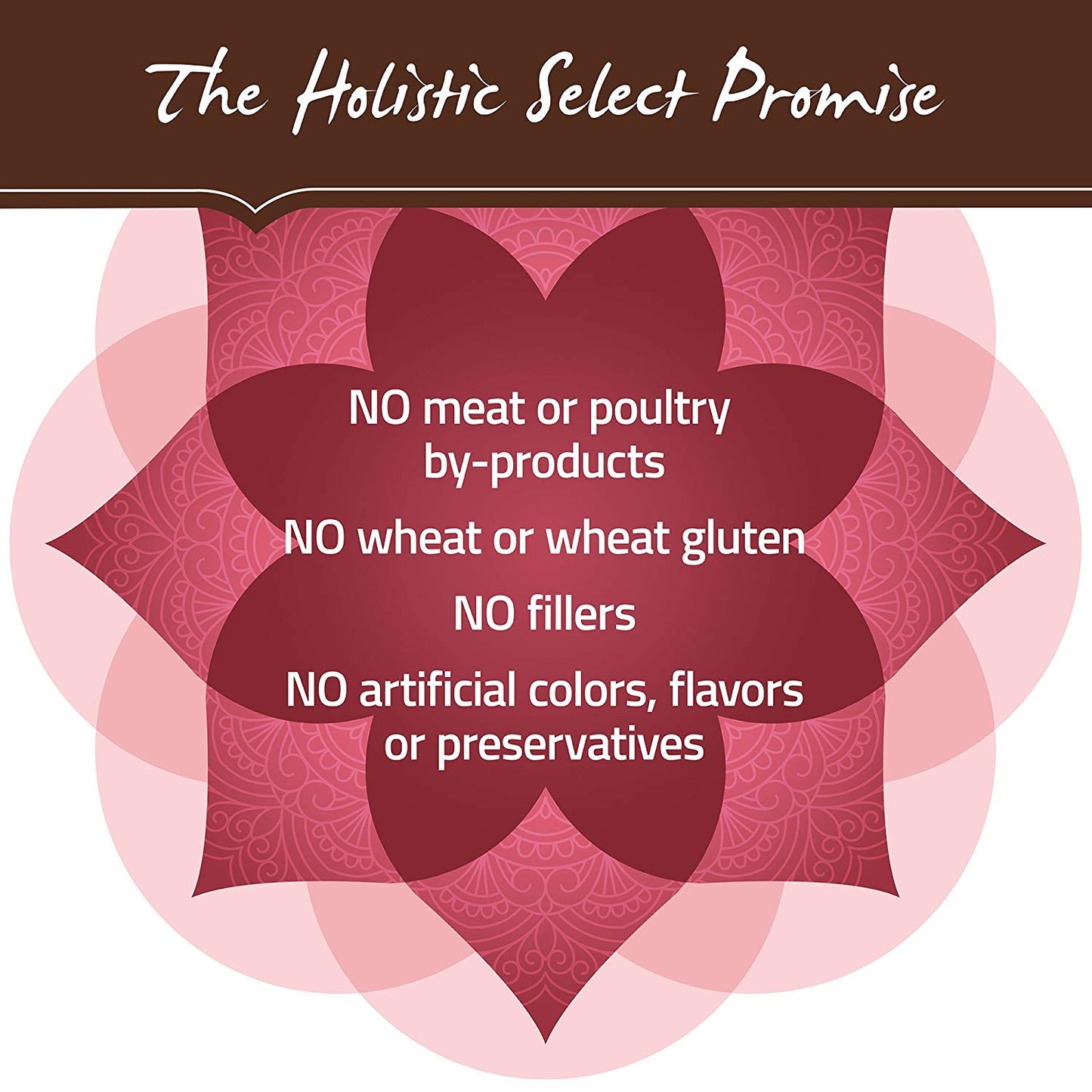 Holistic Select Natural Dry Dog Food Grain Free Adult & Puppy Salmon. Anchovy & Sardine