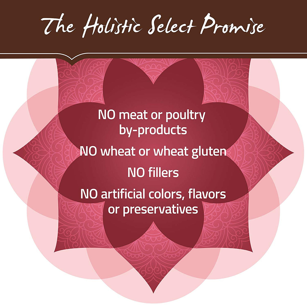 Holistic Select Natural Dry Dog Food Grain Free Adult & Puppy Salmon. Anchovy & Sardine