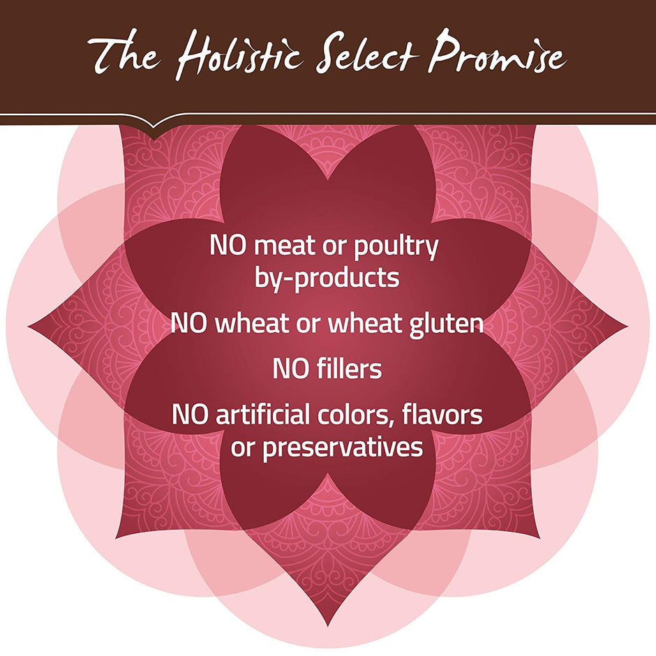 Holistic Select Natural Dry Dog Food Grain Free Adult & Puppy Salmon. Anchovy & Sardine