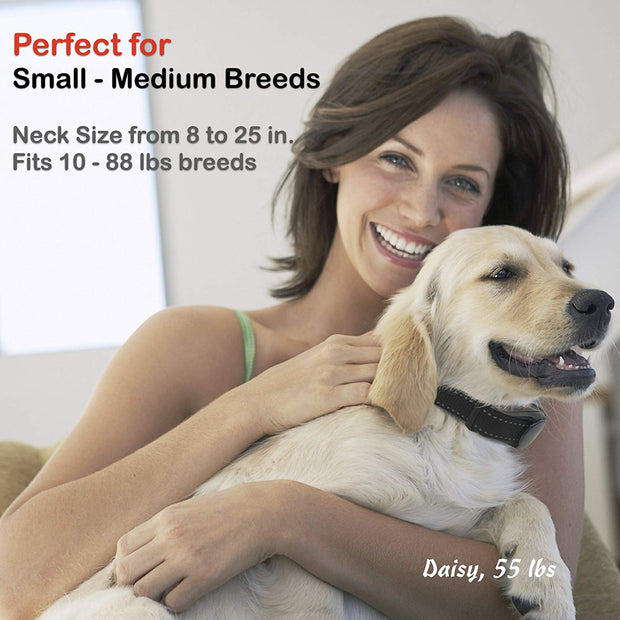 Collier d'entraînement pour chiens, entraîneur à distance de chien rechargeable USB imperméable avec modes de choc, vibration et bip statiques pour les races petites à moyennes, 750 pieds.
