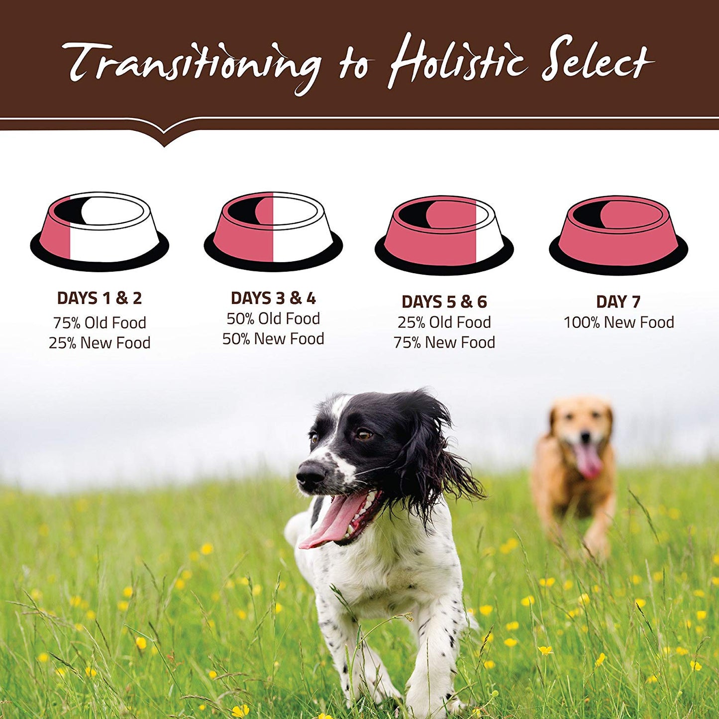 Holistic Select Natural Dry Dog Food Grain Free Adult & Puppy Salmon. Anchovy & Sardine