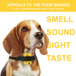 Downtown Pet Supply Citronella No Bark Automatic Spray, Humane No Shock Collar, Anti-bark with Advanced Bark Detection (Collar and Citronella Cans Available)