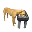 Ourpets Big Dog Feeder 16 pouces