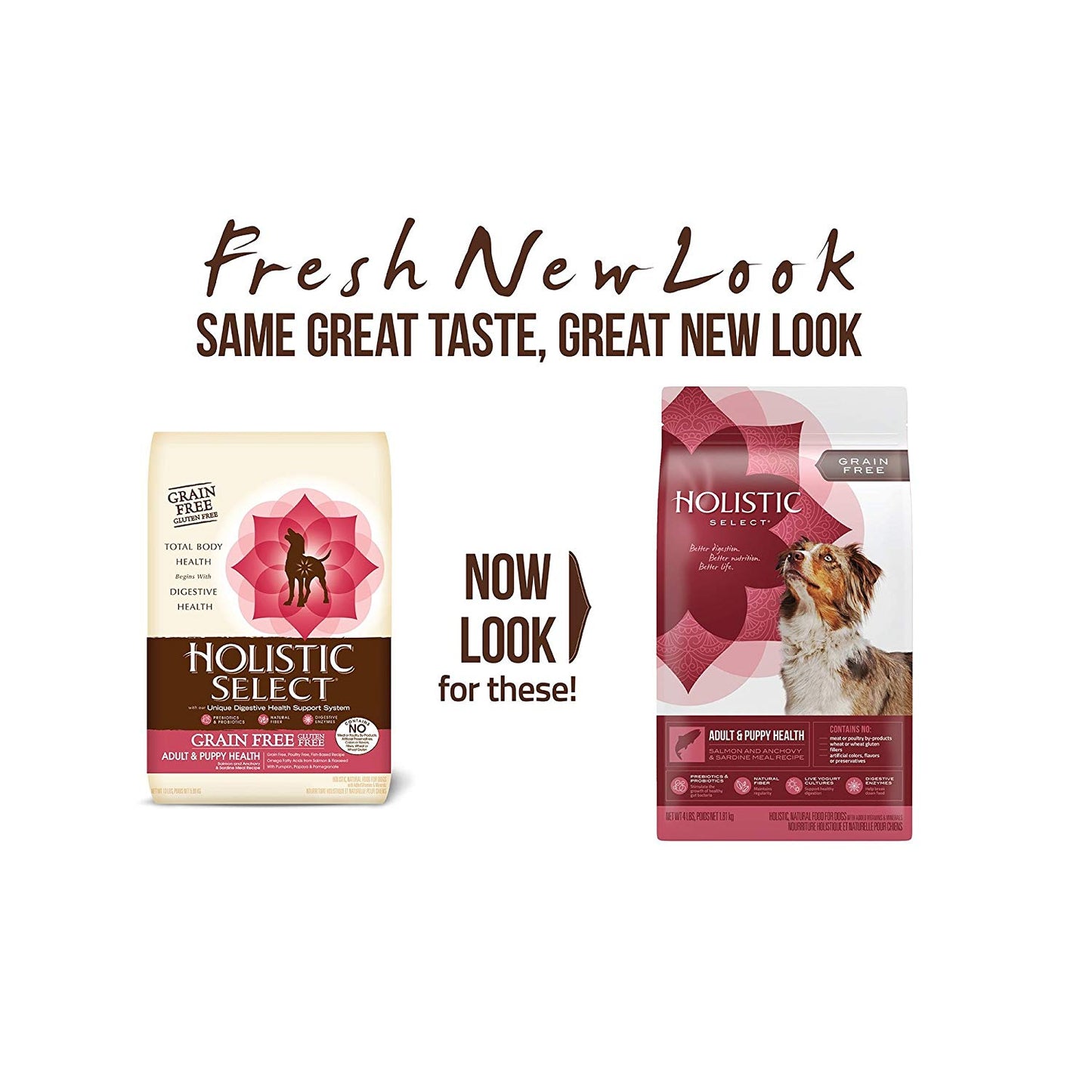 Holistic Select Natural Dry Dog Food Grain Free Adult & Puppy Salmon. Anchovy & Sardine