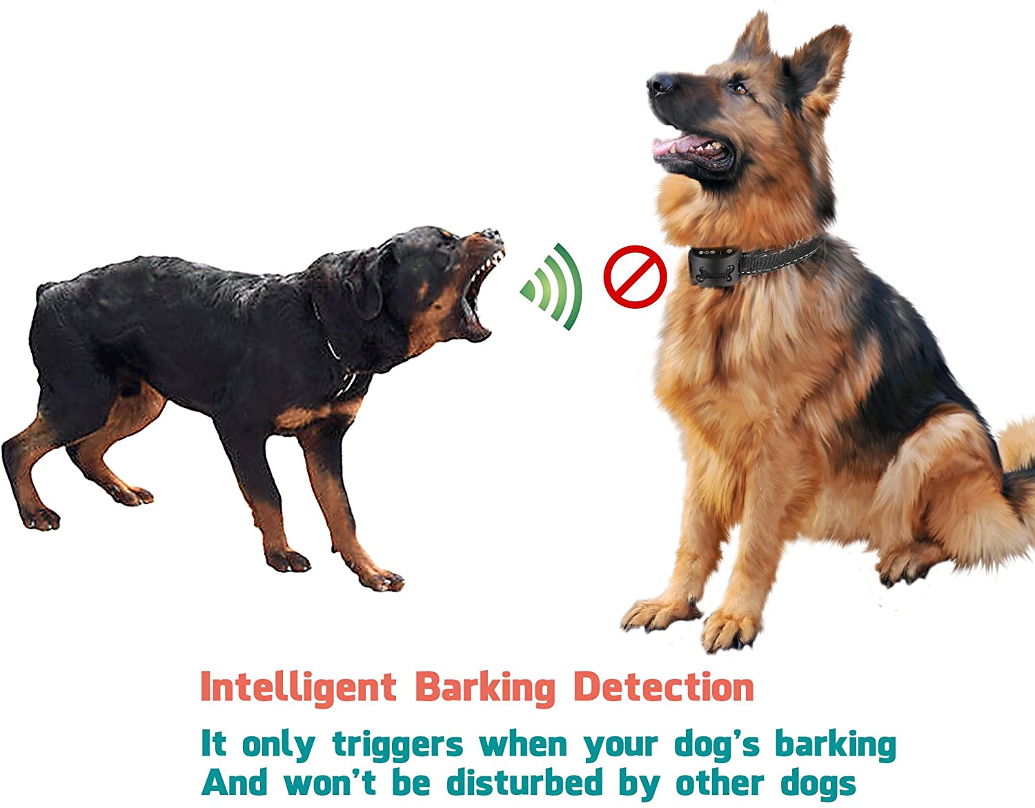 Dog Anti Bark Collar [2020 Upgrade Version] No Barking Collar Dog Small Bark Collar Shock Collar with Beep Vibration Harmless Shock Rechargeable Anti Bark Control Device for Small Medium Large Dog
