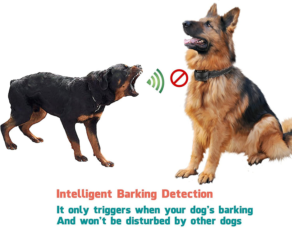 Dog Anti Bark Collar [2020 Upgrade Version] No Barking Collar Dog Small Bark Collar Shock Collar with Beep Vibration Harmless Shock Rechargeable Anti Bark Control Device for Small Medium Large Dog