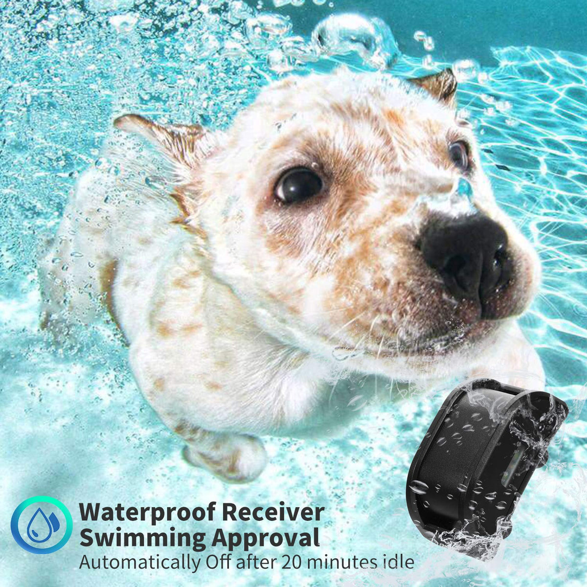 Dog Training Collar