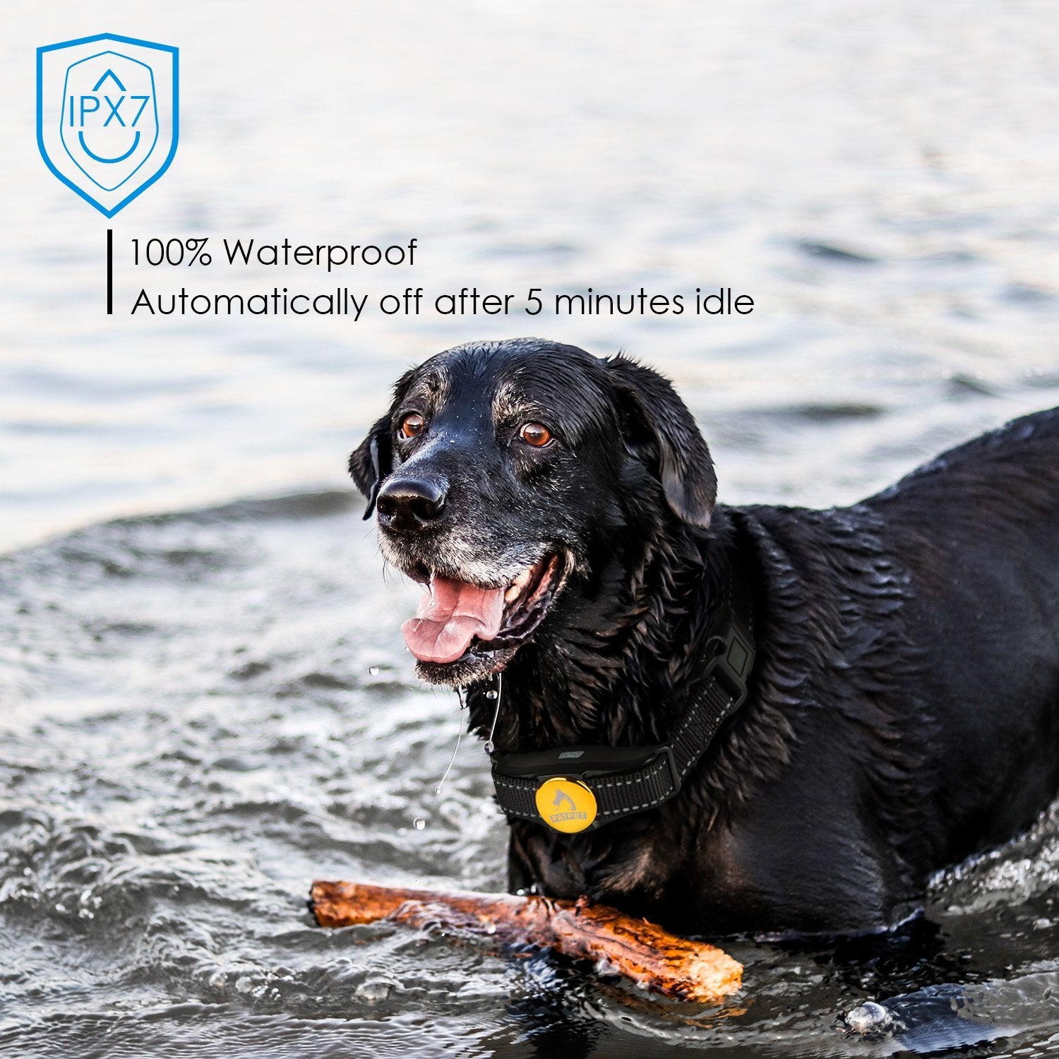 Dog Training Collar, Rechargeable & Waterproof, Blind Operation with Anti-stuck Button Remote 330yd Range, Dog Shock Collar with Beep, Vibration and Shock Mode for Small Medium Large Dog, 10-88lbs