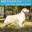 PetSpy P320 Dog Shock Collar for 1200ft Remote Training with Vibration and Beep Rechargeable and Waterproof E-Collar Trainer