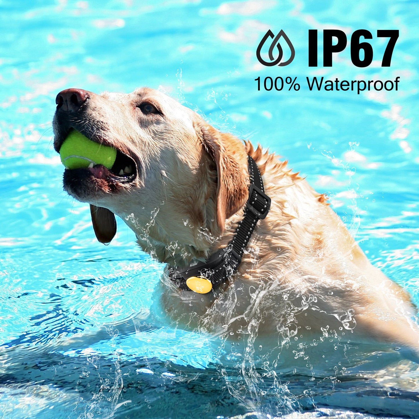 Dog Training Collar with Remote 1000ft [2018 Upgraded] Waterproof Rechargeable Electric Shock Collar for Small Medium Large Dogs
