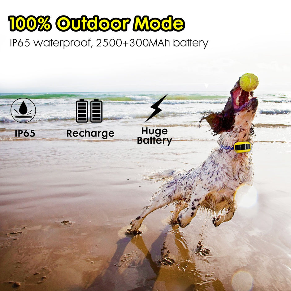 Wireless Dog Containment System with Rechargeable Transmitter and Rechargeable Collar Receiver - Safe & Easy Install WiFi Radio Electric Dog Fence