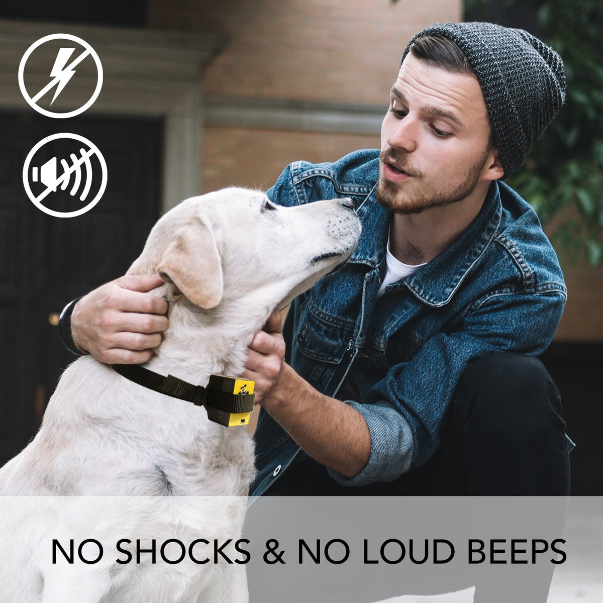 Downtown Pet Supply Citronella No Bark Automatic Spray, Humane No Shock Collar, Anti-bark with Advanced Bark Detection (Collar and Citronella Cans Available)